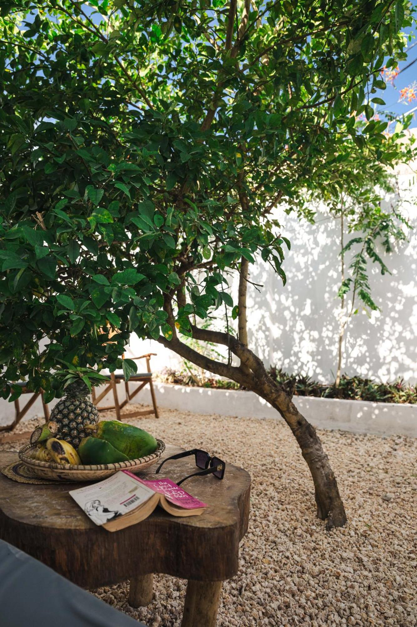 Holiday By Liv Zanzibar, Central Located * Paje