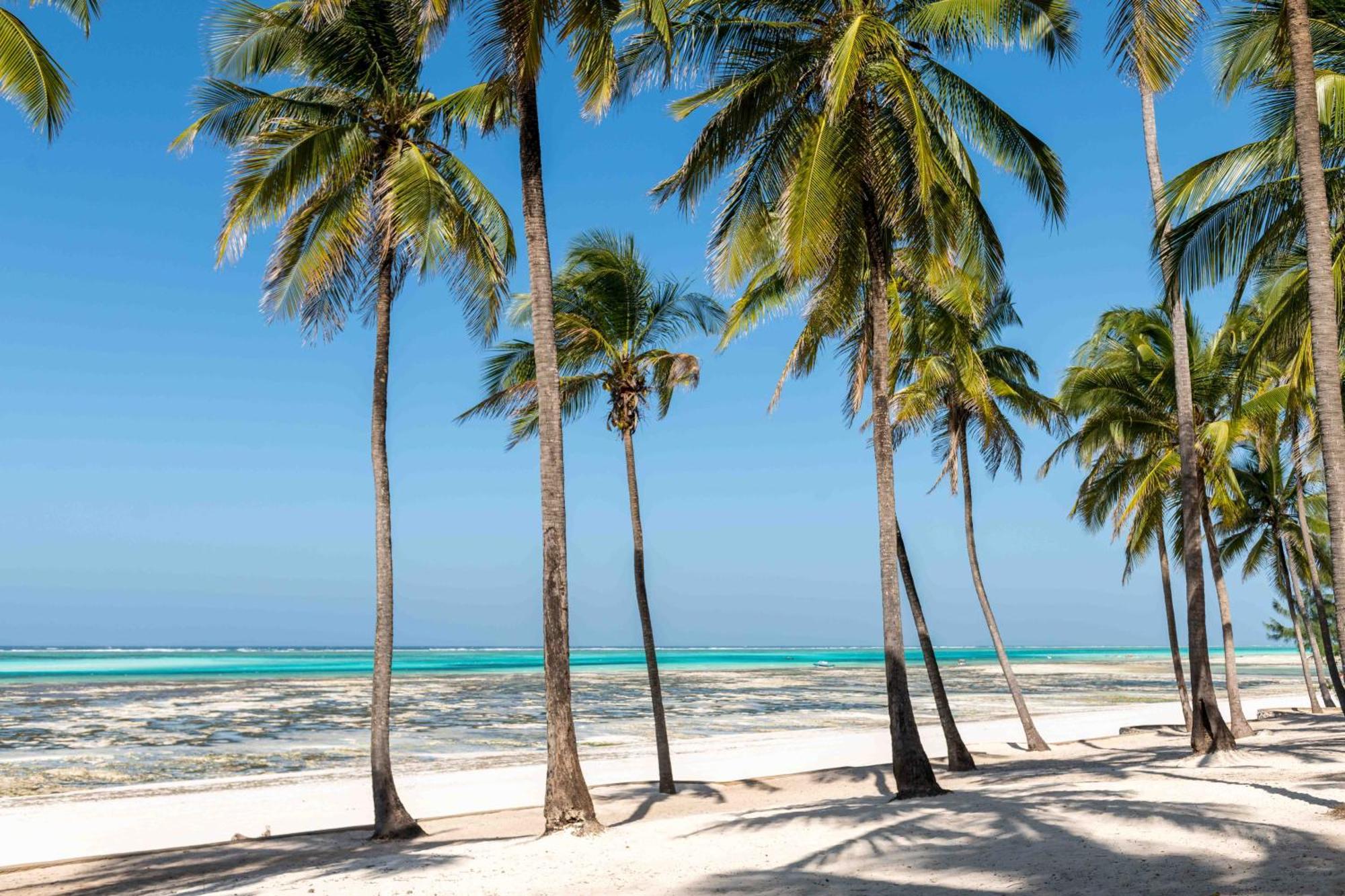 Feriehus Holiday By Liv Zanzibar, Central Located Paje